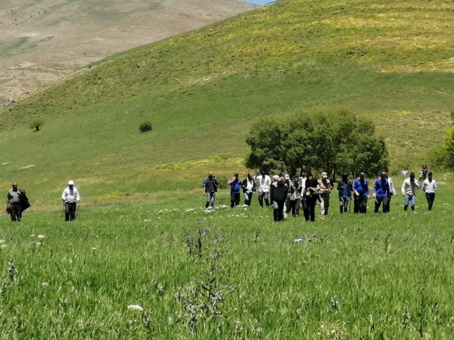 Ağrı