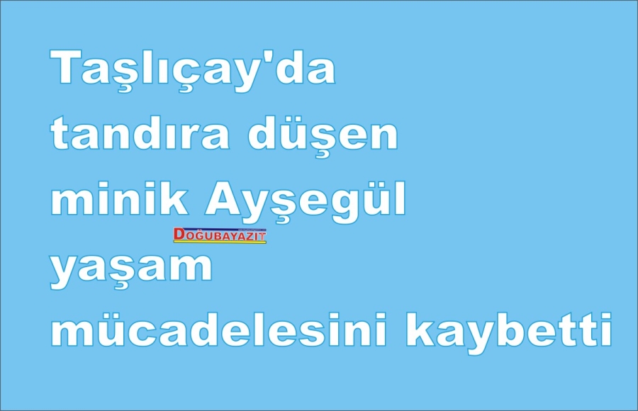 Taşlıçay’da tandıra düşen minik Ayşegül yaşam mücadelesini kaybetti