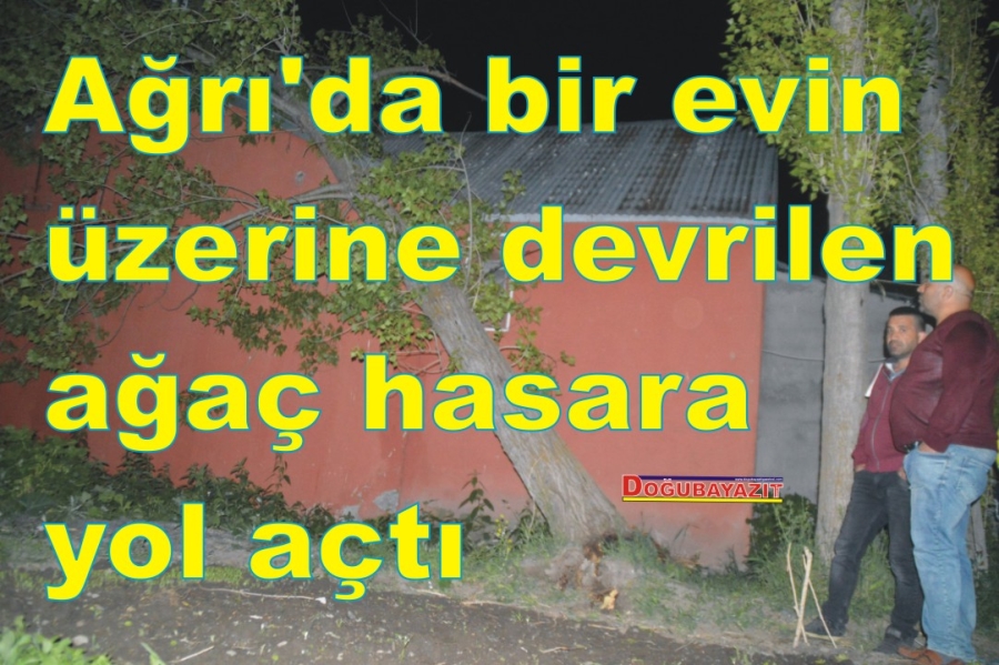 Ağrı’nın Eleşkirt ilçesinde bir evin üzerine devrilen ağaç hasara yol açtı