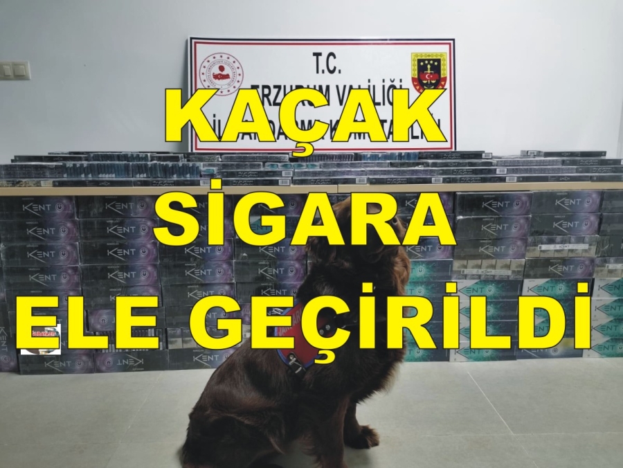 5 bin 200 paket kaçak sigara ele geçirildi