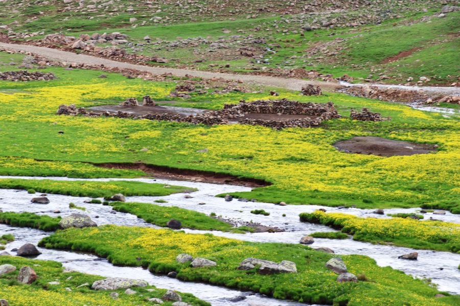 Bahar gelmiş ama hiç de bahara benzemiyor… Bir yanı kar bir yanı bahar yaylada göçerlere soğuk engeli…
