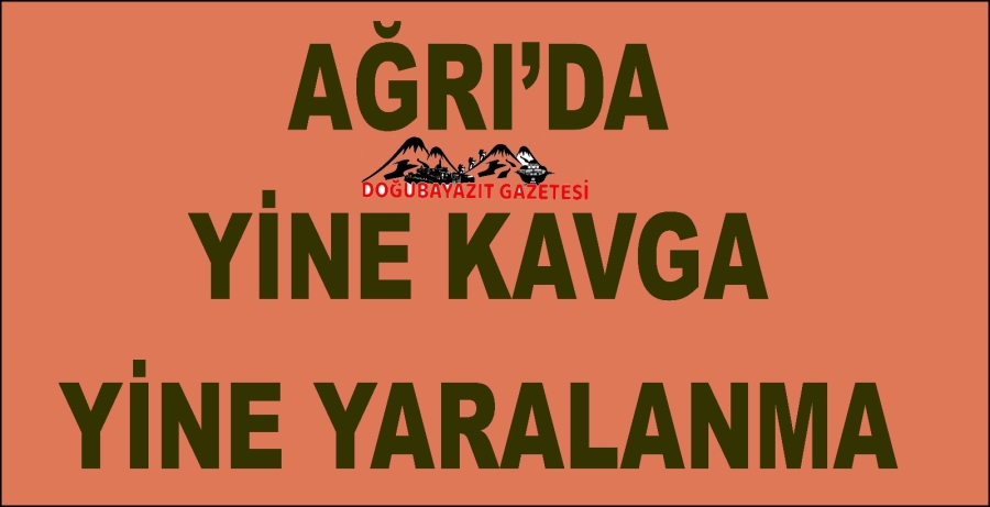 Ağrı’ya bağlı Taşlıçay ilçesinde akrabaların taşlı sopalı kavgasında 10 kişi yaralandı