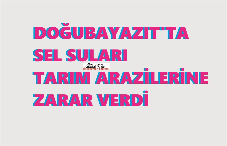 DOĞUBAYAZIT’TA SEL SULARI TARIM ARAZİLERİNE ZARAR VERDİ