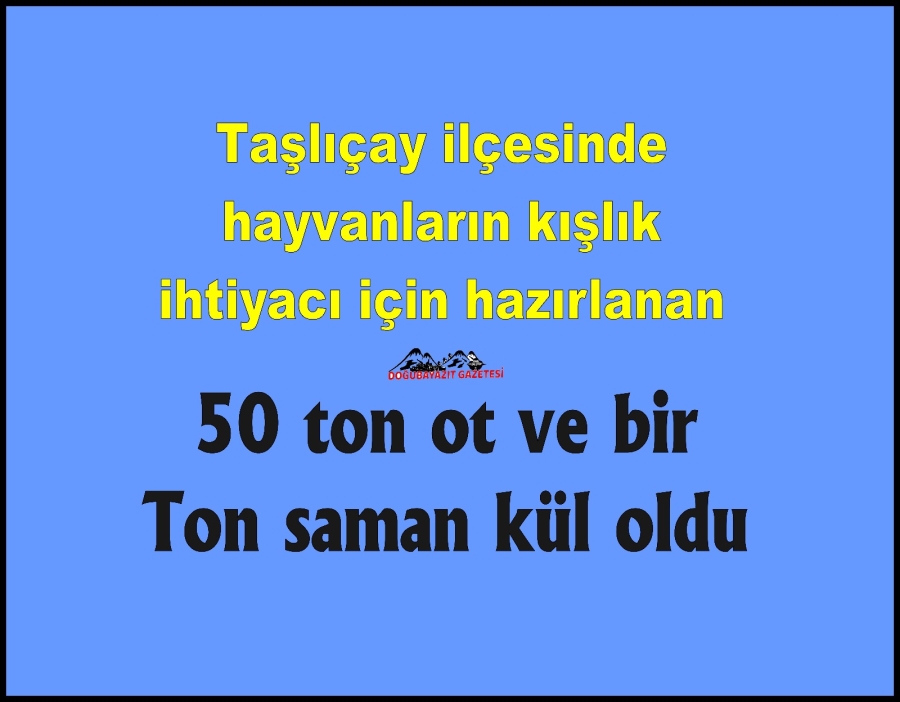 TAŞLIÇAY’DA YANGIN