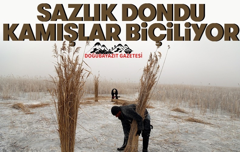 DAMLARIN KAPATILMASINDA KULLANILIYOR