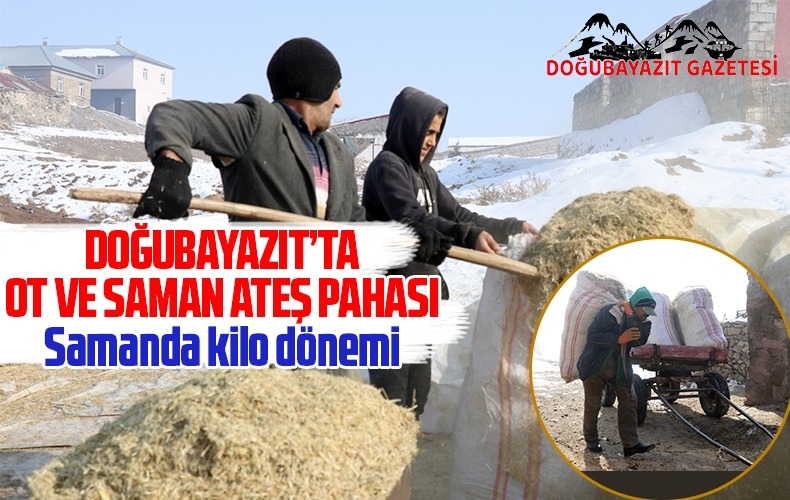 SAMAN ÇOK PAHALI