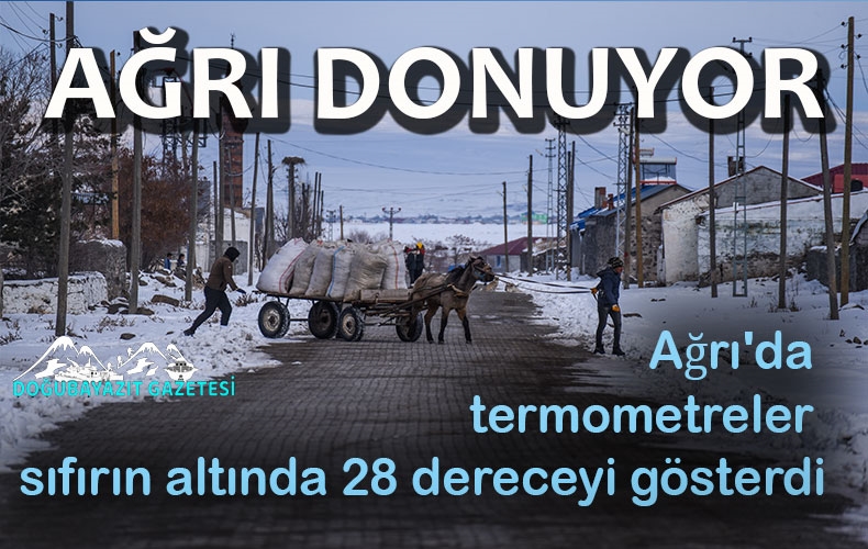 DON SİS VE PUS