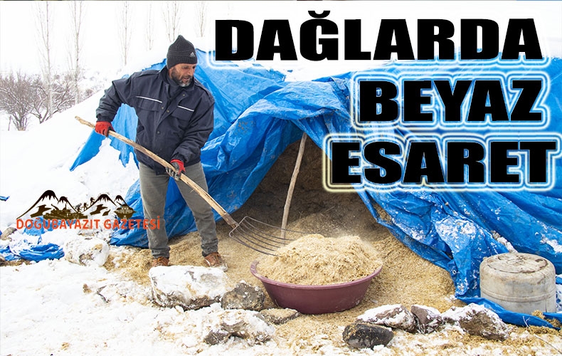 Tüm zorluklara rağmen hayvancılık yapmaya devam ediyorlar