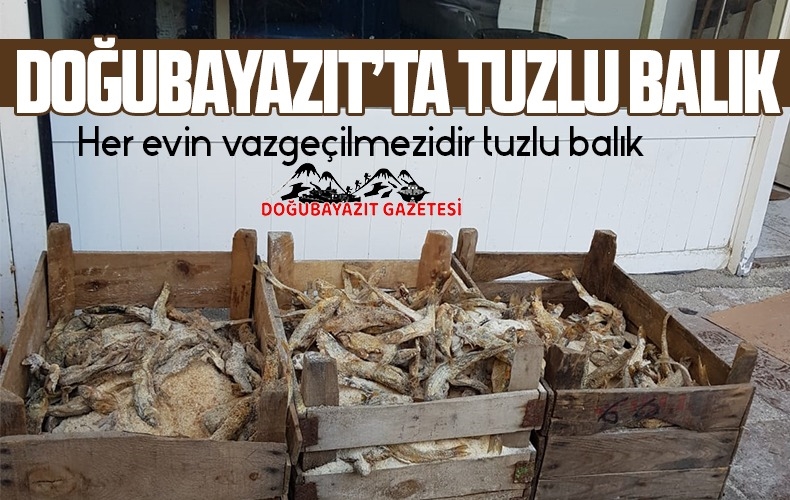 DOĞUBAYAZIT’TA MEŞHUR SALAMURALI BALIK