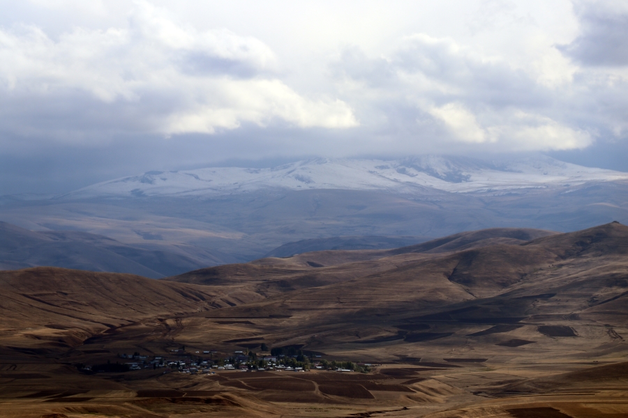 AĞRI