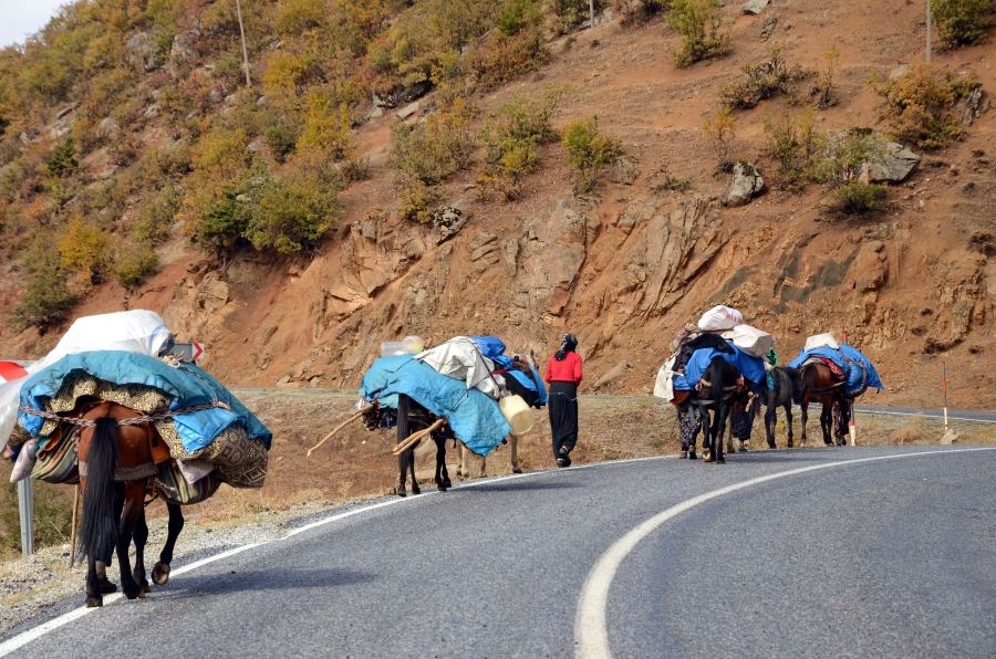 GÖÇERLERİN DÖNÜŞ YOLCULUĞU SÜRÜYOR