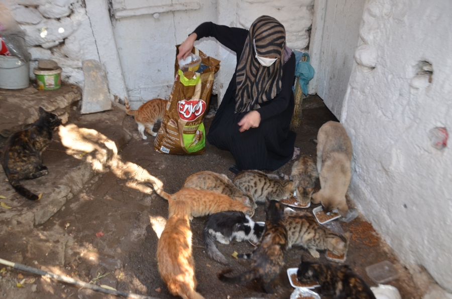 EVİNİN BİR BÖLÜMÜNÜ SOKAK KEDİLERİNE AYIRDI