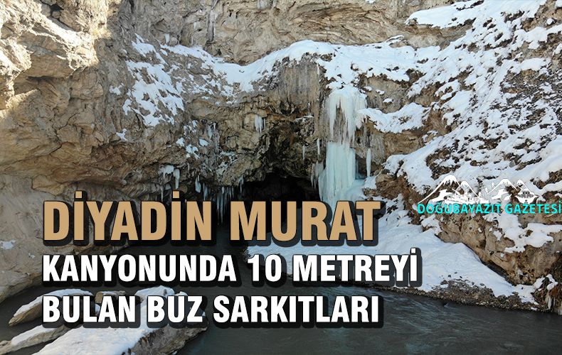 Ağrı