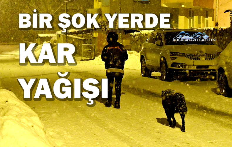 Doğu Anadolu Bölgesi