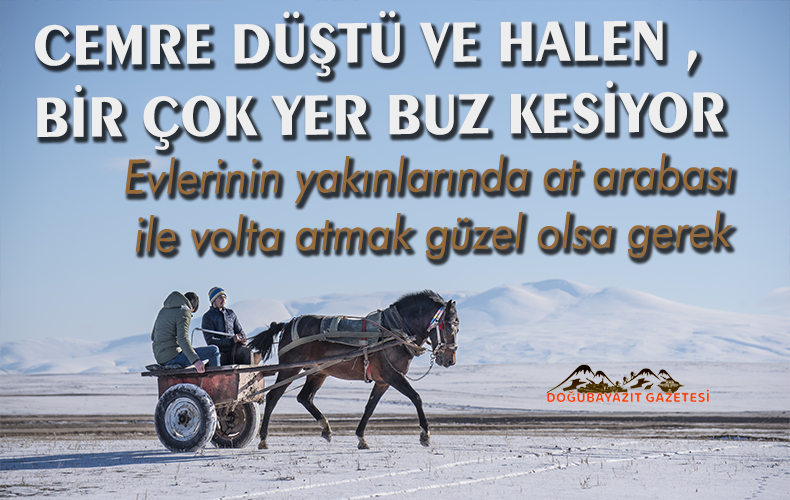 Bazı besiciler, derelerin buzunu kırarak hayvanlarını suladı.