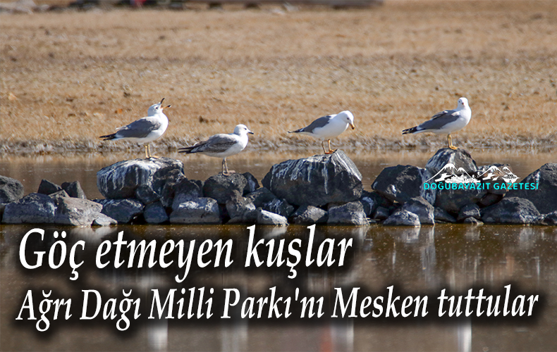 Türkiye