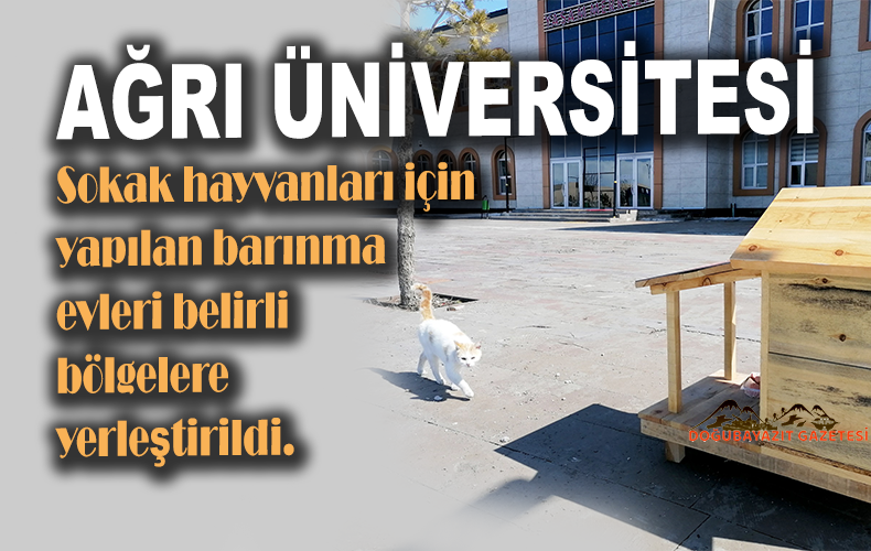 Ağrı