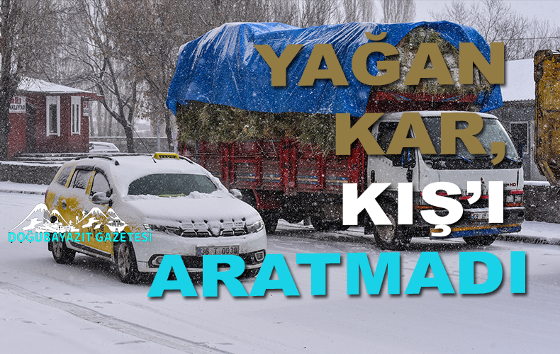 Doğu Anadolu