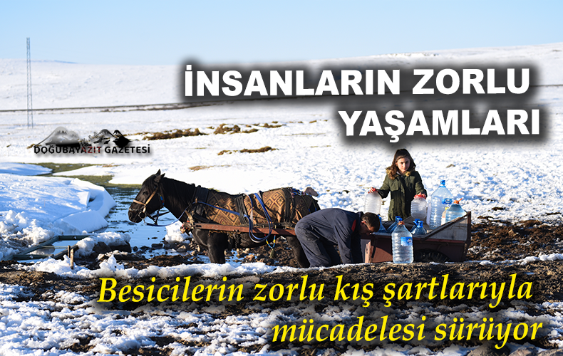 GÜNÜN İLK IŞIĞI İLE AHIRLARIN YOLUNU TUTAN HAYVAN SAHİPLERİ