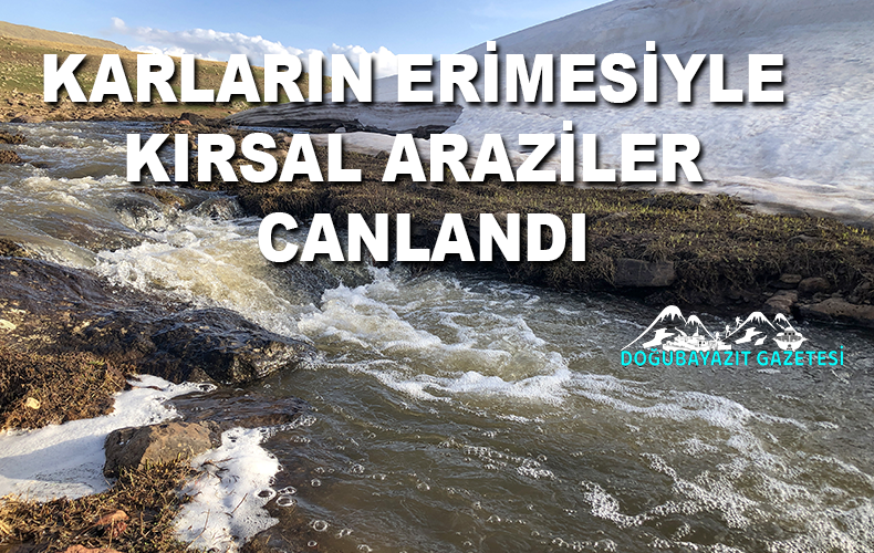 Aras Dağları karların erimesiyle renklendi