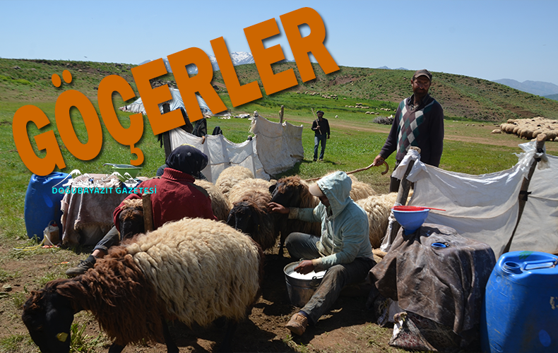 Göçerlerin yaylalardaki mesaisi başladı