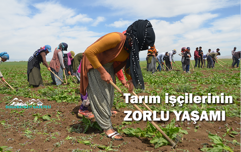 SABAH 5’TE BAŞLAYAN MESAİ