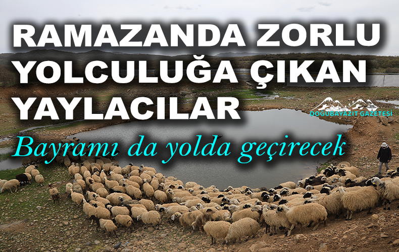 Havaların ısınmasıyla hayvanlarını kışlaklardan çıkaran göçerler, yaylalara gitmek için 50 gün yol yürüyecek.