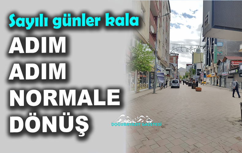 SENARYOLAR GELMEYE BAŞLADI