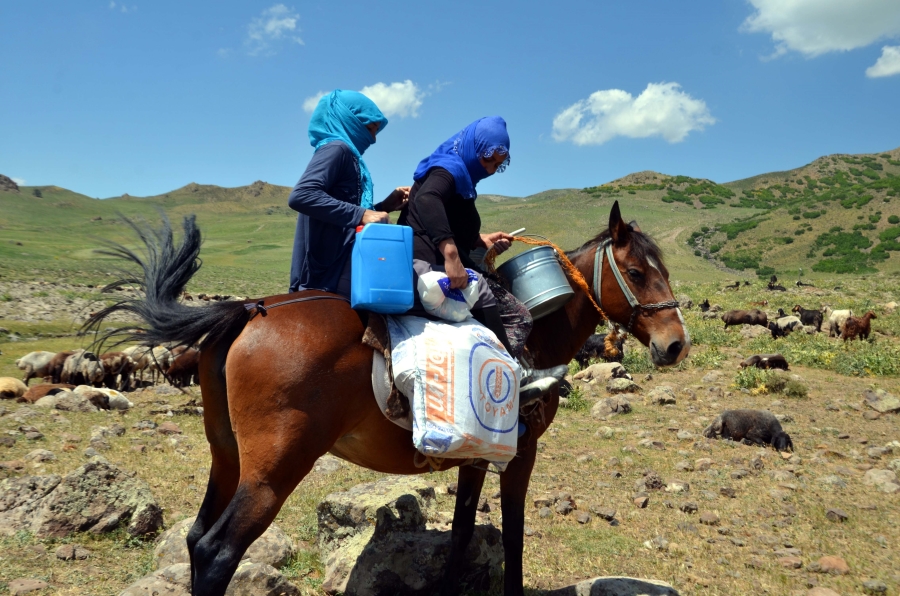 TEK GEÇİM KAYNAKLARI YAYLA