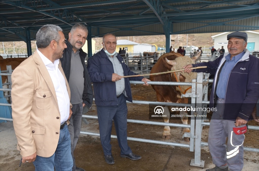 KURBANLIKLAR SIKI PAZARLIKLARLA SATILIYOR