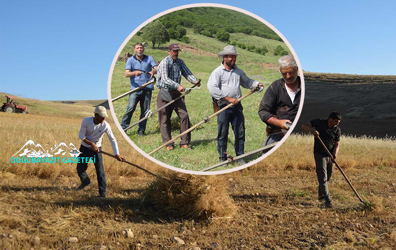 KURAKLIK OT BİÇME DÖNEMİNİ BAŞLATTI