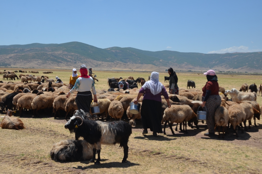 İlkbahar mevsiminde yaylaya çıkan besiciler, köylerine dönmeye başladı