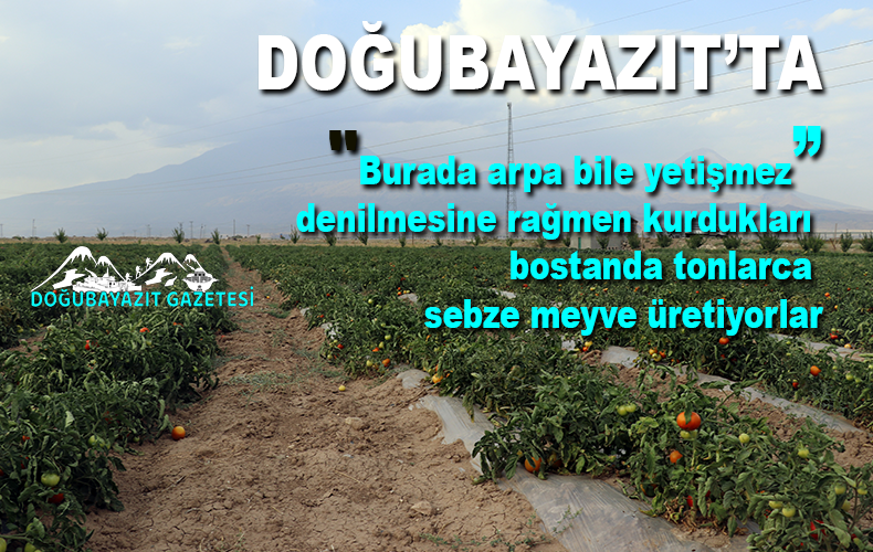 Bahçelerinde 12 kişiyi  istihdam ettiler