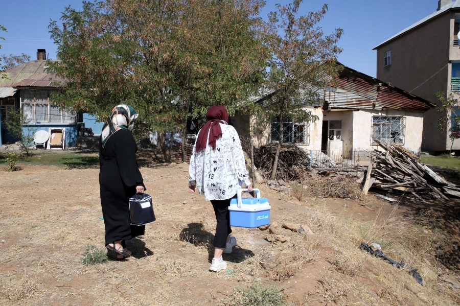 SON ZAMANLARDA AŞIDA BÜYÜK İVME