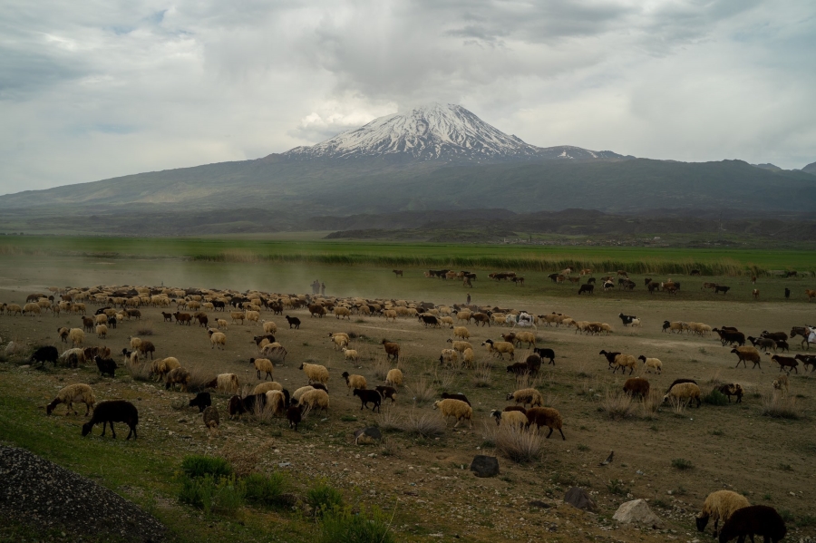 Doğu Anadolu Bölgesi