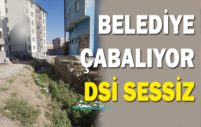 DSİ ve İl Özel İdaresinin de bir çalışma başlatması lazım