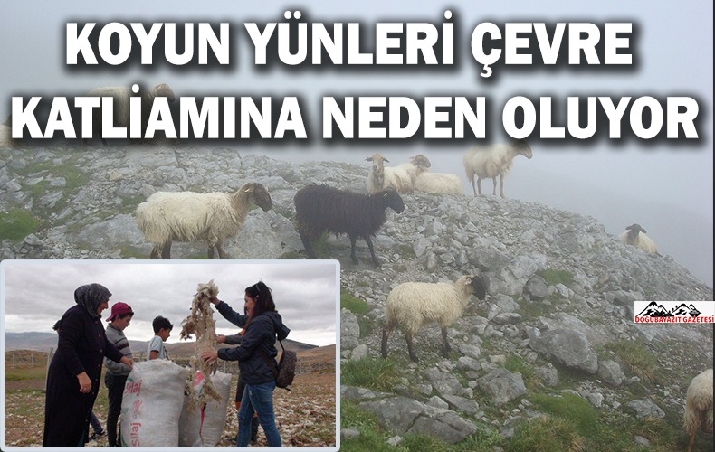 ÇEVREYE GEREKEN ÖNEM GÖSTERİLMİYOR