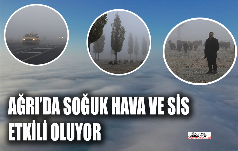 Ağrı’da kar yağışının ardından soğuk hava ve sis hayatı olumsuz etkiliyor.