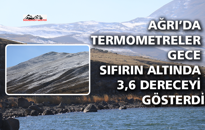 Ağrı