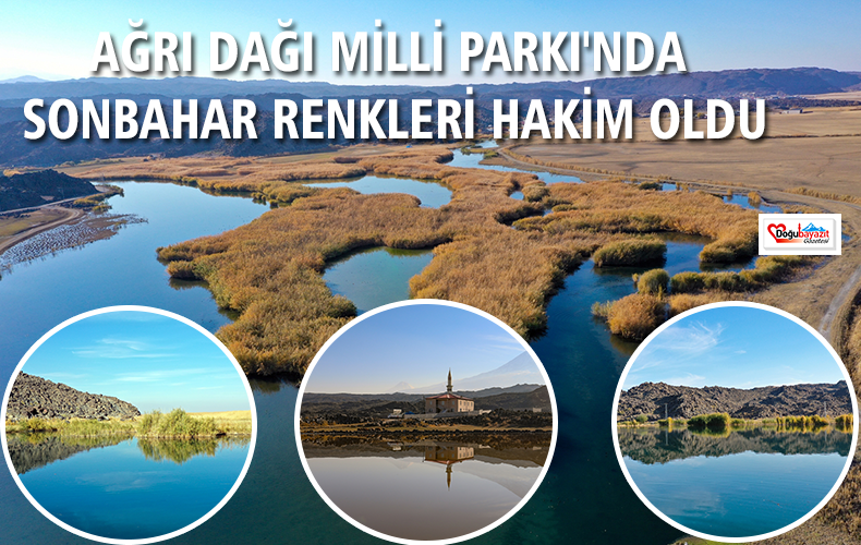 Ağrı Dağı Milli Parkı, zengin flora ve fauna çeşitliliğiyle sonbahar renklerine büründü.