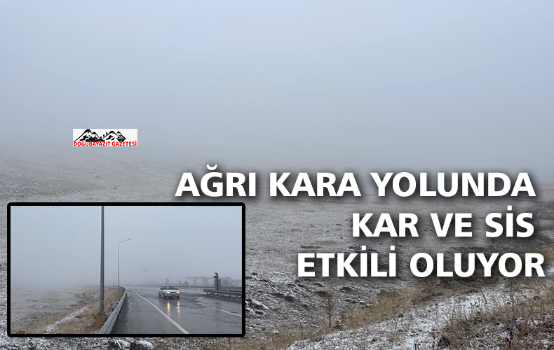 Ağrı kara yolunda kar ve sis etkisini gösteriyor