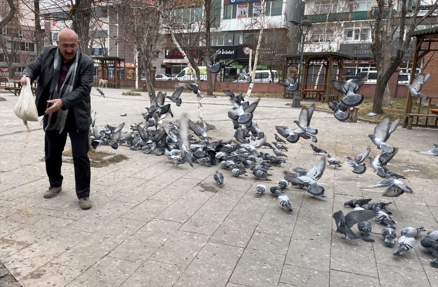 ETKİLİ OLAN SOĞUK HAVA NEDENİYLE BİTKİLER VE AĞAÇLAR KIRAĞI İLE KAPLANDI.