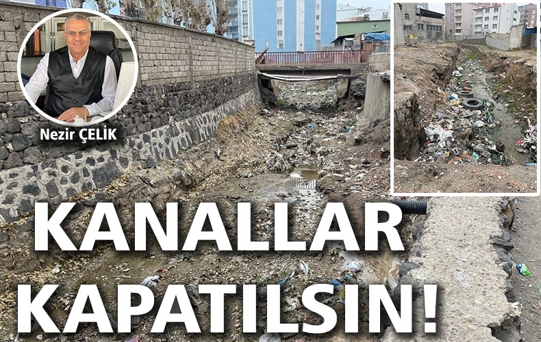 DSİ