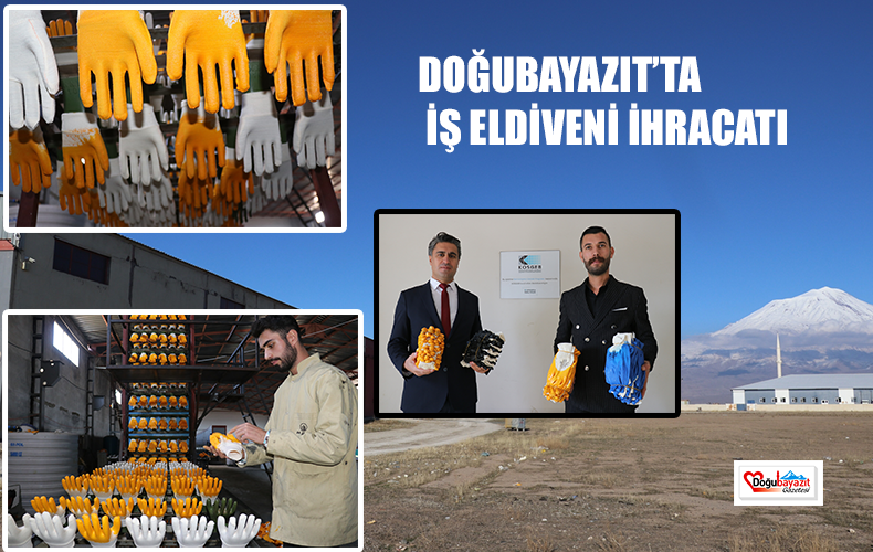 AİLESİNİN  İŞ  ELDİVENİ  İTHALATINDAN  ETKİLENEN  DOĞUBAYAZIT’TA GİRİŞİMCİ MEMLEKETİNE  DÖNÜP  İHRACATÇI  OLDU