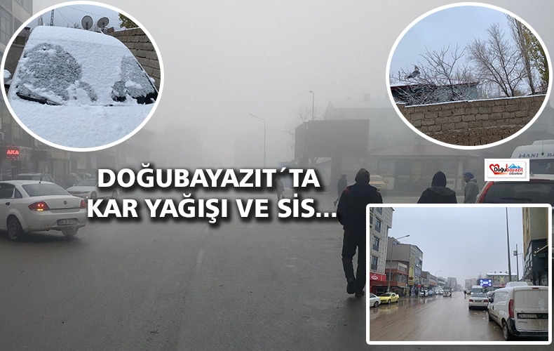 KIRAĞI VE SİS ÇEKİLMEZ OLUYOR