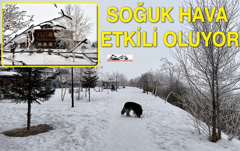 SOĞUK HAVA YAŞAMI OLUMSUZ ETKİLİYOR.