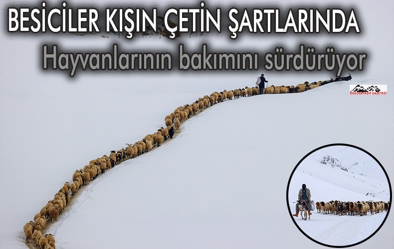 TEK GEÇİM KAYNAKLARI HAYVANLARI