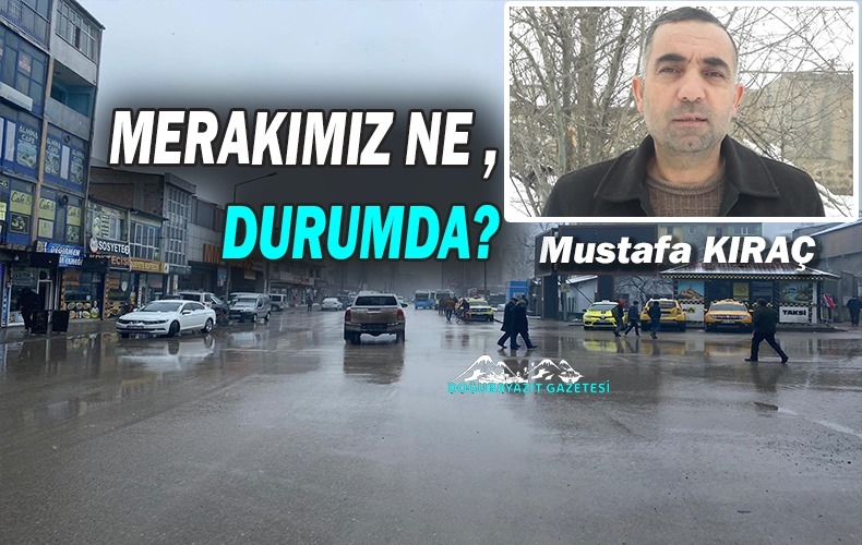 İNSANI HAYVANDAN AYIRAN BİRİNCİ ÖZELLİK MERAKTIR. 
