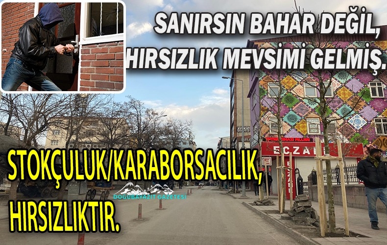 YANİ HIRSIZLIK BİR DEĞİL, ÇEŞİT ÇEŞİTTİR.