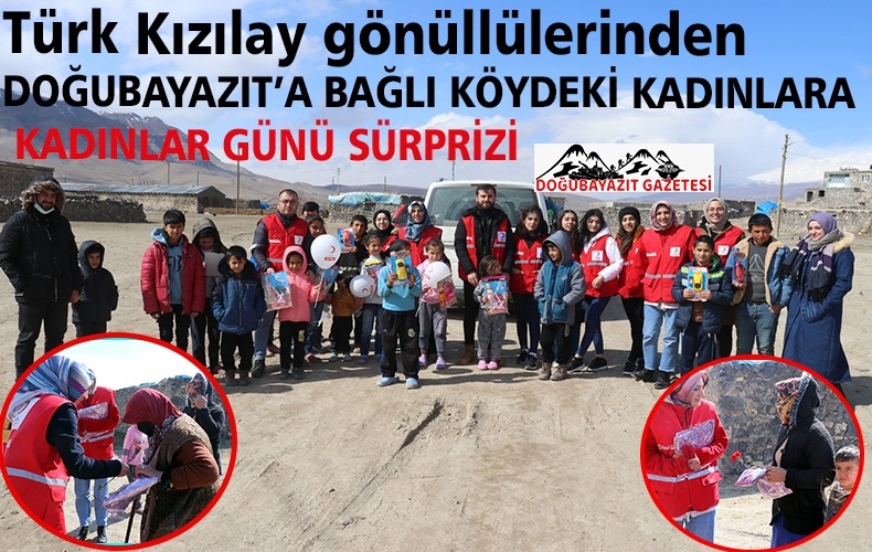 KENTİN KIRSALINDAKİ BİR KÖYE GİDEN GÖNÜLLÜLER, EVLERİ TEK TEK GEZEREK KADINLARA KARANFİL DAĞITTI